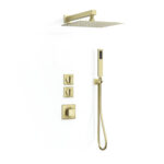 RUGEN Dual-function shower system