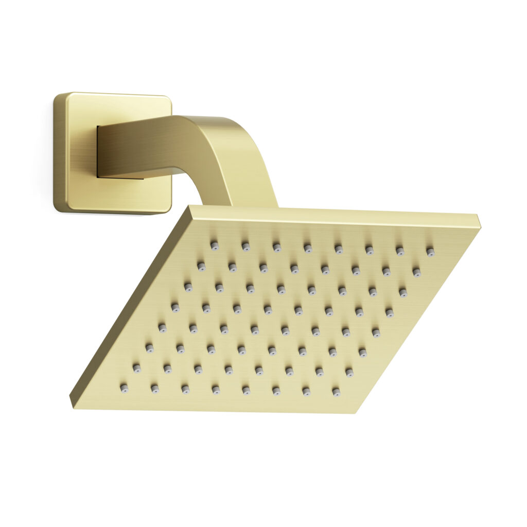 FARNE 6-Inch Rain Shower Head with Shower Arm