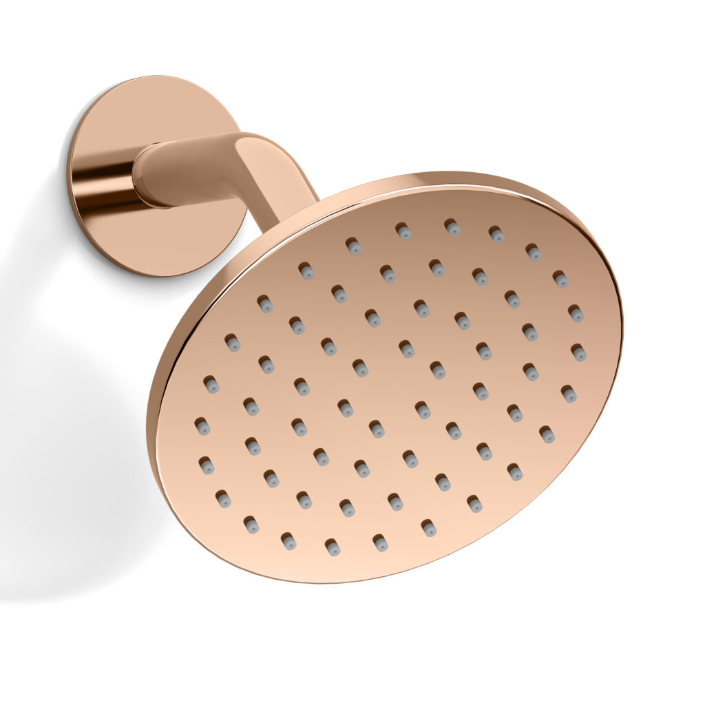 FARNE 6-Inch Rain Shower Head with Shower Arm
