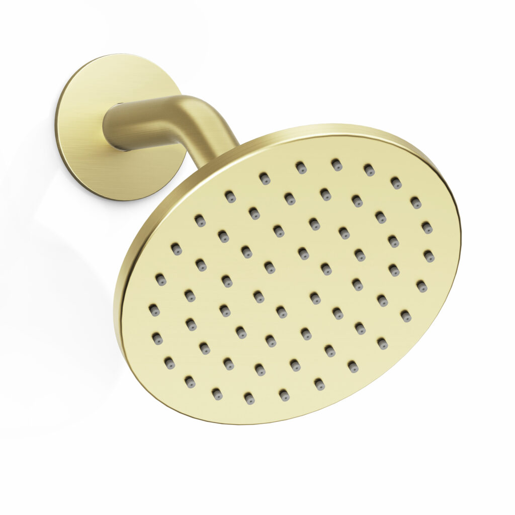 FARNE 6-Inch Rain Shower Head with Shower Arm