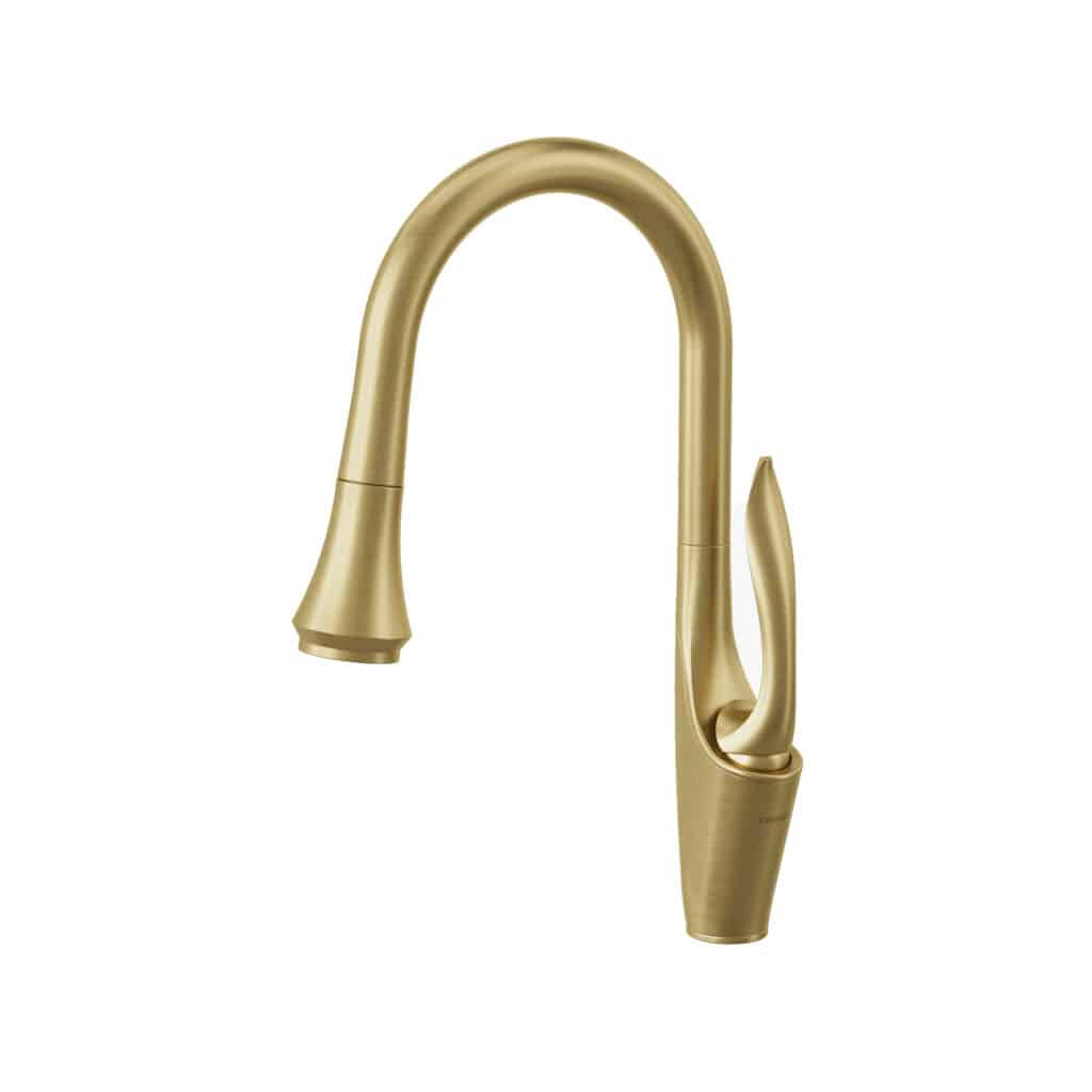 BRUNY Pull Down Kitchen Faucet