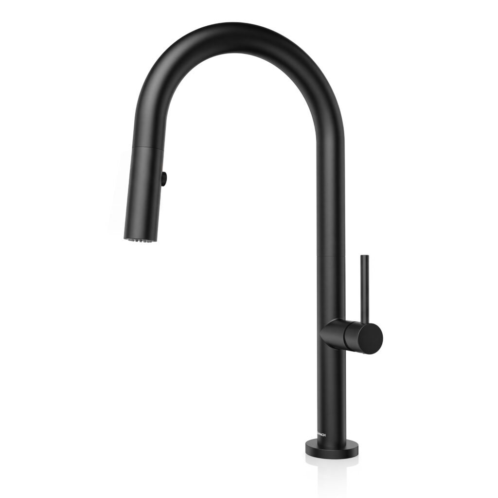 FRISIAN Pull Down Kitchen Faucet