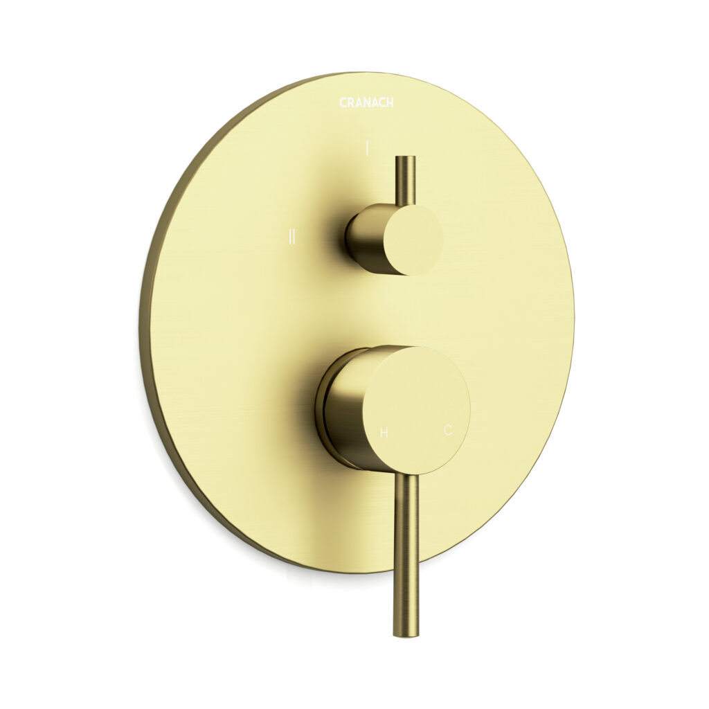 CROZET Two-Function Trim Kit (Valve Not Included)