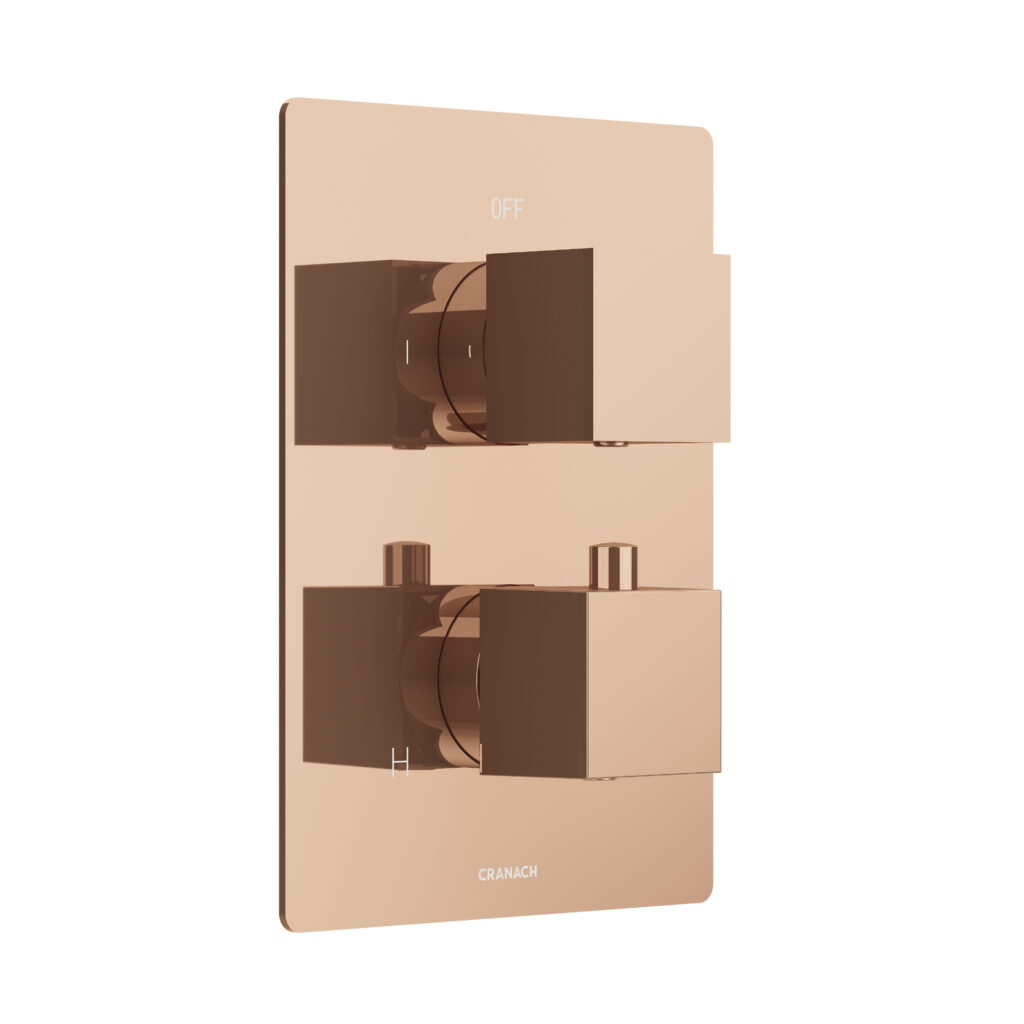 FARNE Two-Function Trim Kit (Valve Not Included)