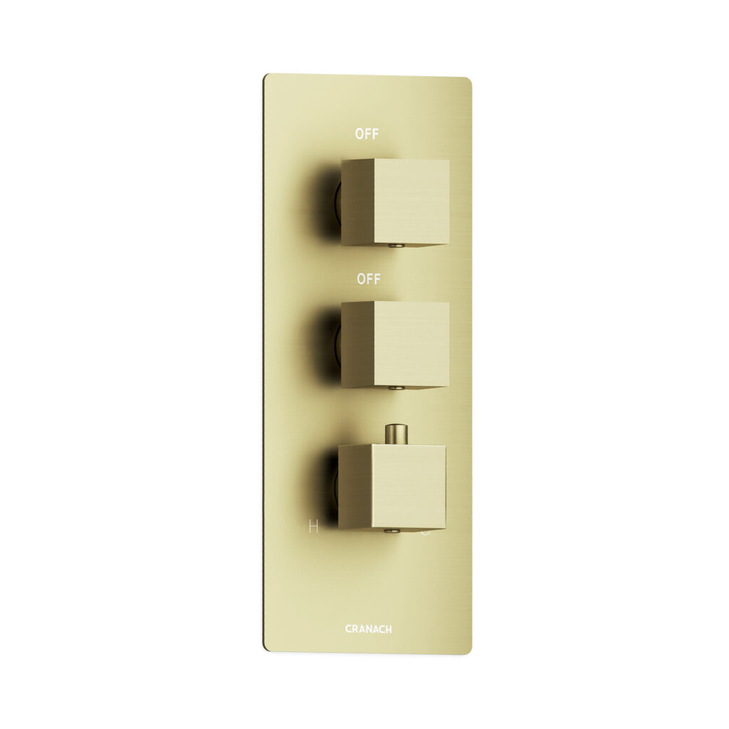 FARNE 2-Outlet Thermostatic Valve Trim with Knob Handle